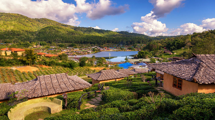 ऊटी में लें सुहाने मौसम का मजा, यहां है पूरी जानकारी / Have fun in Ooty, enjoy the weather, here is the complete information