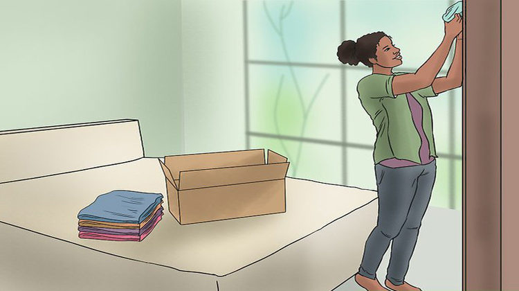 कैसे करें घर की सफाई / How to clean the house
