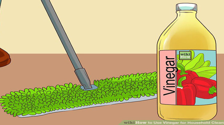 सिरका करेगा घर की सफाई / Vinegar Will Clean The House