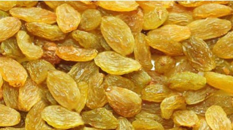 छोटी सी किशमिश, वजन बढ़ाने में करती है मदद / Little raisin helps in weight gain