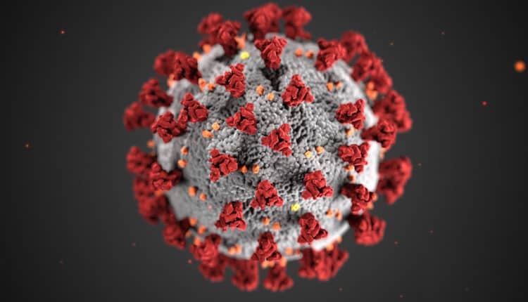कोरोना वायरस कैसे फैलता है? / How does corona virus spread?
